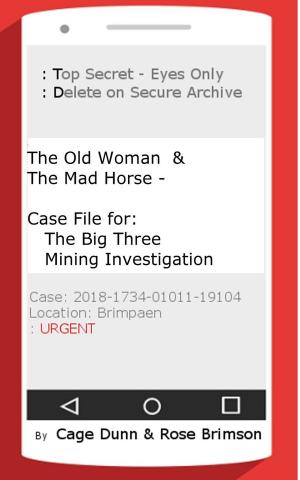 Cover of the book The Old Woman & the Mad Horse - Case File for: The Big Three Mining Investigation by Linda Verji
