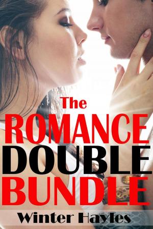 bigCover of the book The Romance Double Bundle by 