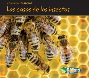 Cover of the book Las casas de los insectos by Ailsa Wild