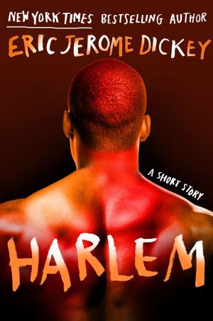 Book cover of Harlem