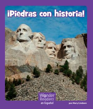 Cover of the book Piedras con historia by Irene Adler