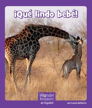 Cover of the book ¡Qué lindo bebé! by Laurie S. Sutton