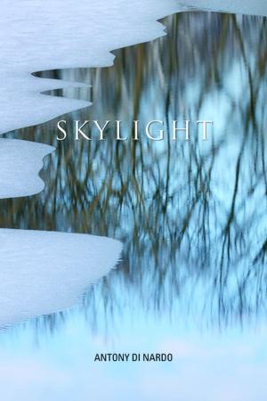 Cover of the book Skylight by Pamela Porter