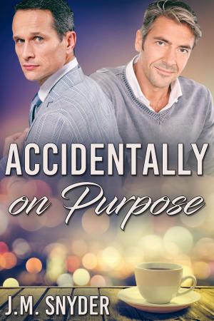 Cover of the book Accidentally On Purpose by Connie Wesala