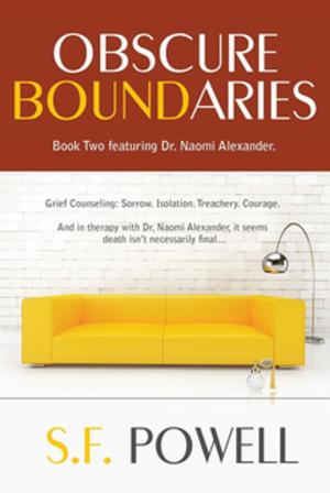 Cover of the book Obscure Boundaries by Monika Starzengruber