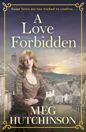 Cover of the book A Love Forbidden by Luciana Sandroni