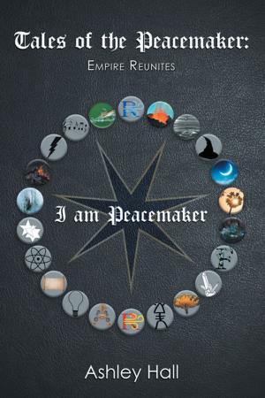 Cover of the book Tales of the Peacemaker by Mr Spraints