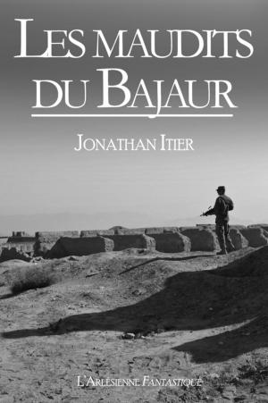 Book cover of Les maudits du Bajaur