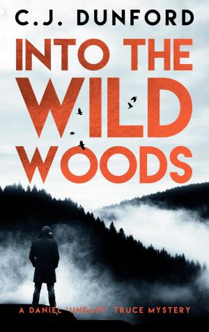 Cover of the book Into the Wild Woods by Natalie Rabengut, Nina Schott, Natalie Frank, Anabella Wolf, Sandra Sardy