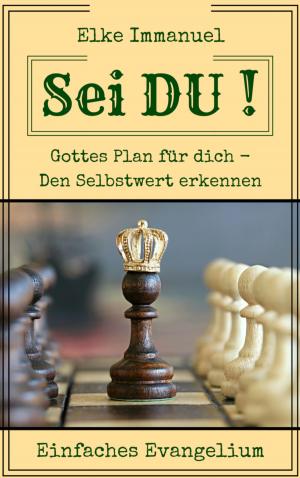 Cover of the book Sei DU! by Daniel Elliott