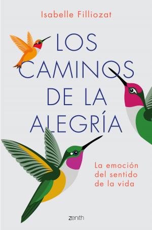 Cover of the book Los caminos de la alegría by Care Santos