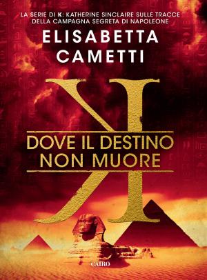 Cover of the book K - Dove il destino non muore by J.D. Kleinke