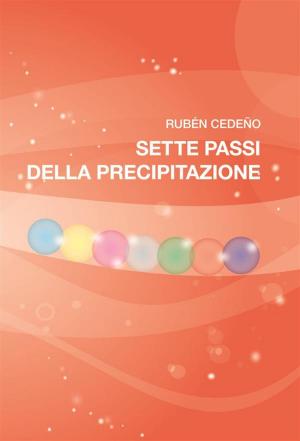 Cover of the book Sette passi della precipitazione by Doug 