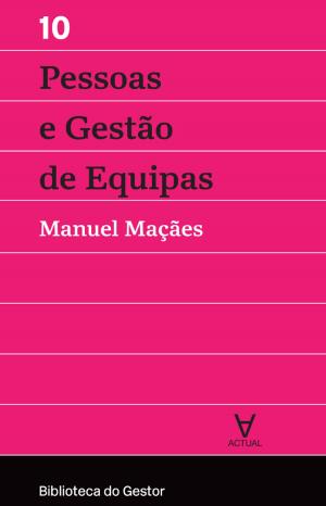 Cover of the book Pessoas e Gestão de Equipas - Vol. X by 木村尚敬