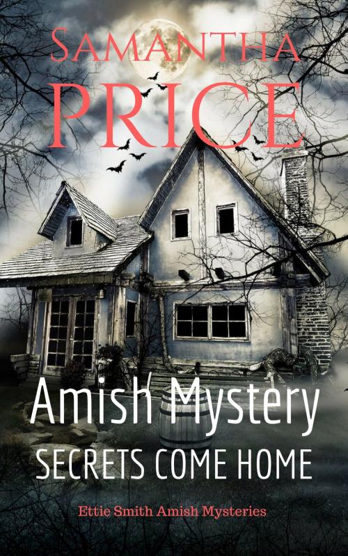 Cover of the book Secrets Come Home by Samantha Price, Samantha Price