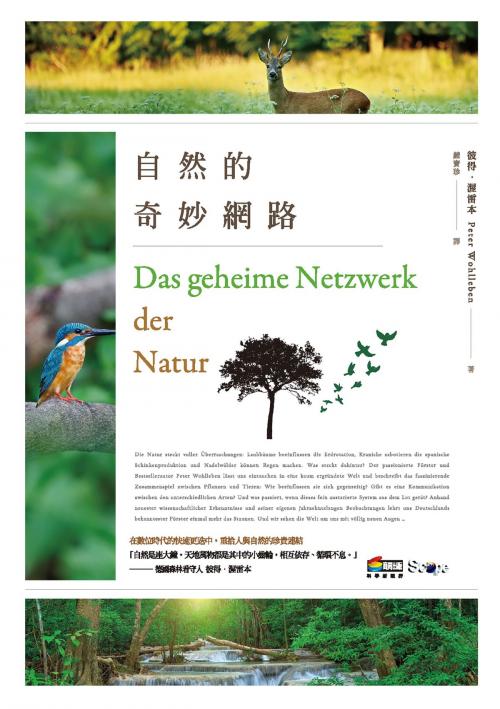 Cover of the book 自然的奇妙網路 by 彼得．渥雷本(Peter Wohlleben), 城邦出版集團