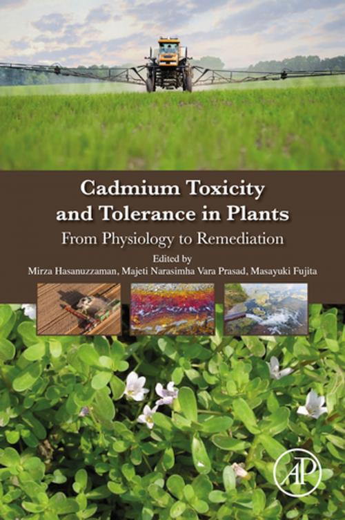 Cover of the book Cadmium Toxicity and Tolerance in Plants by , Elsevier Science