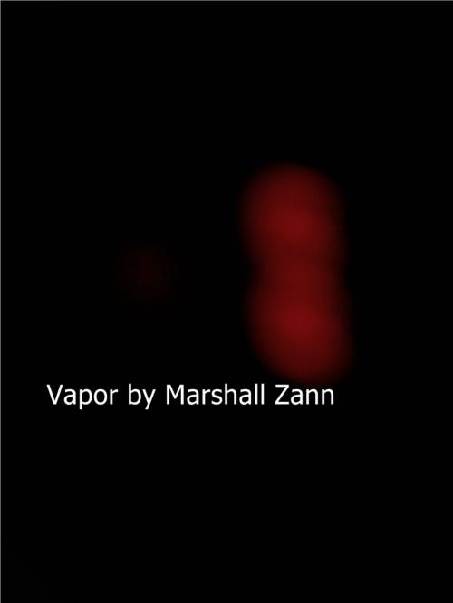 Cover of the book Vapor by Marshall Zann, Marshall Zann