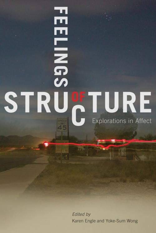 Cover of the book Feelings of Structure by , MQUP