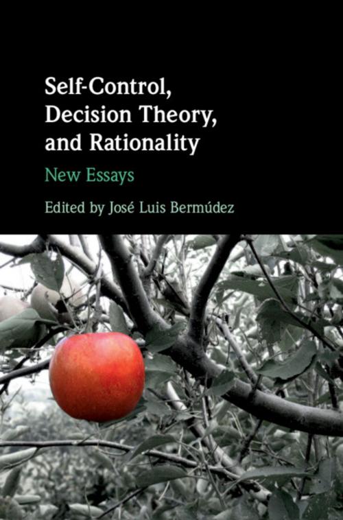 Cover of the book Self-Control, Decision Theory, and Rationality by , Cambridge University Press