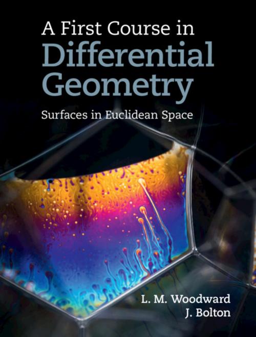 Cover of the book A First Course in Differential Geometry by Lyndon Woodward, John Bolton, Cambridge University Press