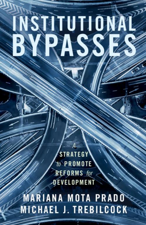 Cover of the book Institutional Bypasses by Mariana Mota Prado, Michael J. Trebilcock, Cambridge University Press