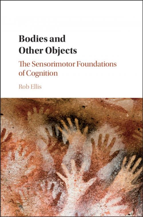 Cover of the book Bodies and Other Objects by Rob Ellis, Cambridge University Press