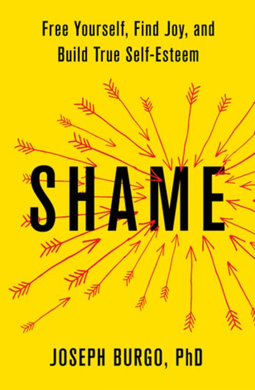 Cover of the book Shame by Joseph Burgo, St. Martin's Press