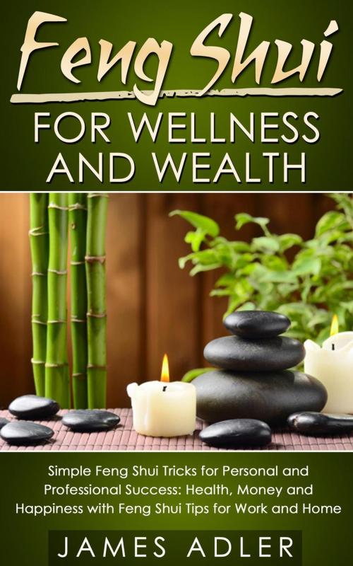 Cover of the book Feng Shui for Wellness and Wealth: Simple Feng Shui Tricks for Personal and Professional Success: Health, Money and Happiness with Feng Shui Tips for Work and Home by James Adler, James Adler
