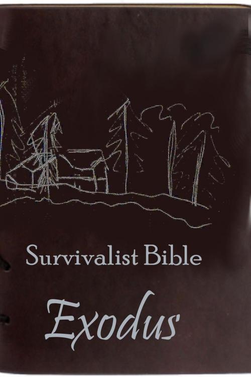 Cover of the book Survivalist Bible: Exodus by Heidi Angell, OWS Ink