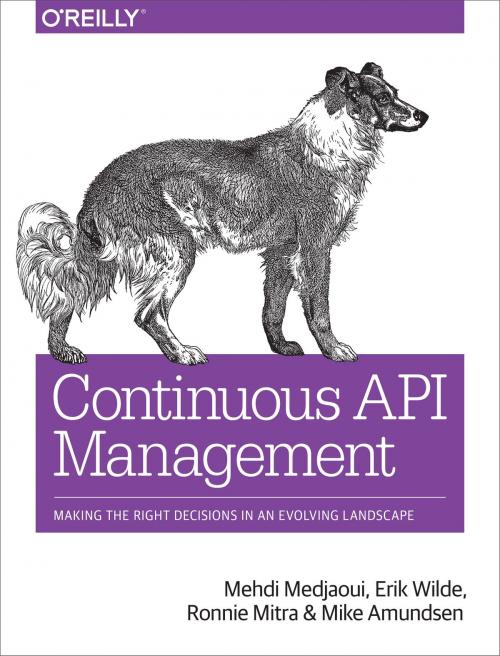 Cover of the book Continuous API Management by Mehdi  Medjaoui, Erik  Wilde, Ronnie Mitra, Mike Amundsen, O'Reilly Media