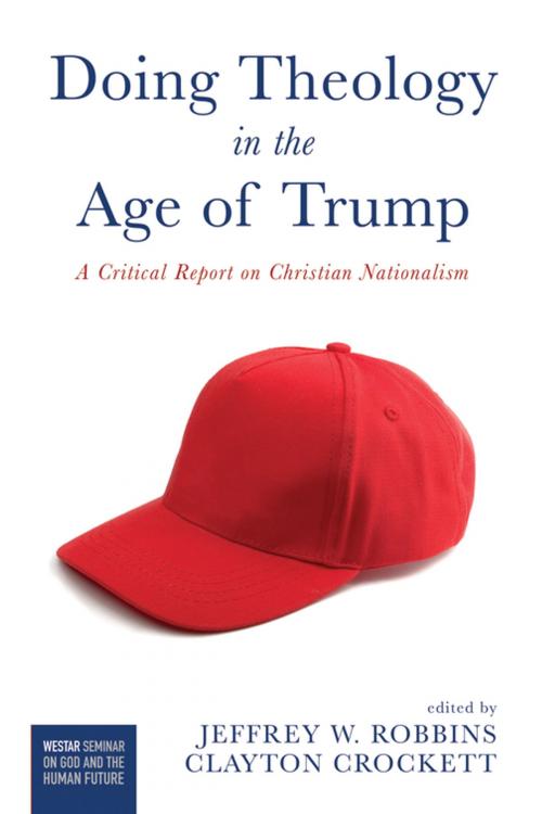 Cover of the book Doing Theology in the Age of Trump by , Wipf and Stock Publishers
