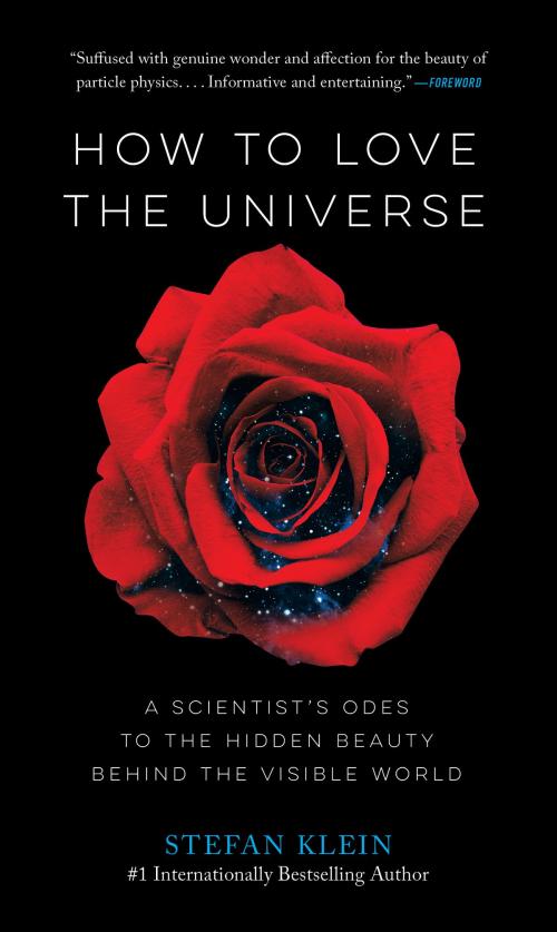 Cover of the book How to Love the Universe by Stefan Klein, The Experiment