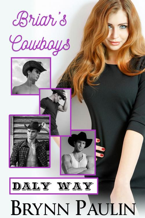 Cover of the book Briar's Cowboys by Brynn Paulin, Supernova Indie Publishing Services LLC