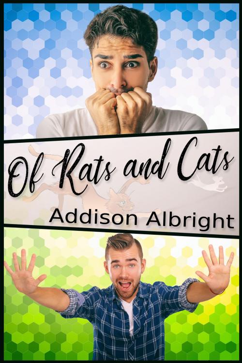 Cover of the book Of Rats and Cats by Addison Albright, JMS Books LLC