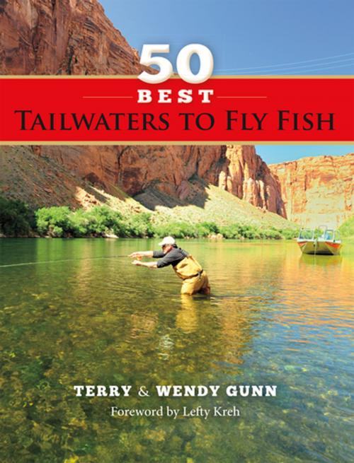 Cover of the book 50 Best Tailwaters to Fly Fish by Terry Gunn, Wendy Gunn, Stonefly Press