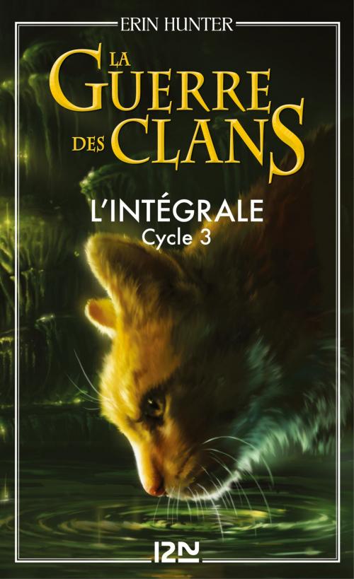 Cover of the book La guerre des clans - cycle 3 intégrale by Erin HUNTER, Univers Poche