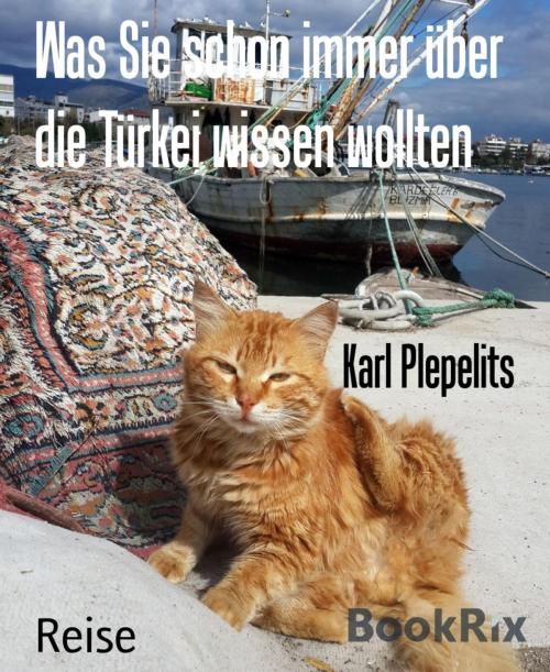 Cover of the book Was Sie schon immer über die Türkei wissen wollten by Karl Plepelits, BookRix