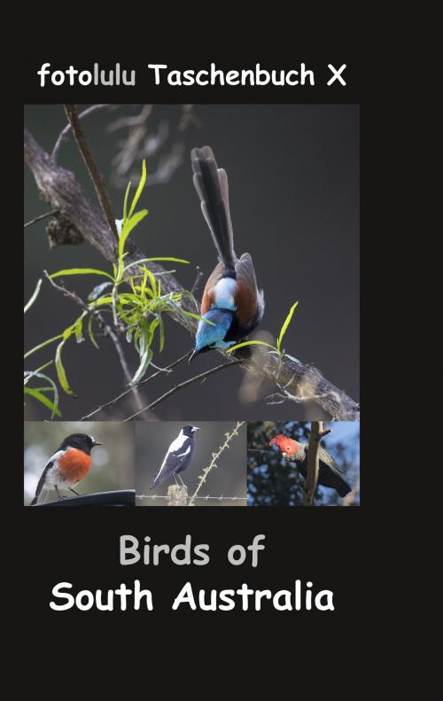 Cover of the book Birds of South Australia by fotolulu, Books on Demand