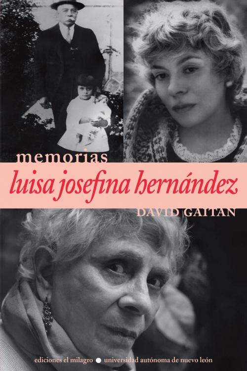 Cover of the book Luisa Josefina Hernández by David Gaitán, David Gaitán, Ediciones El Milagro