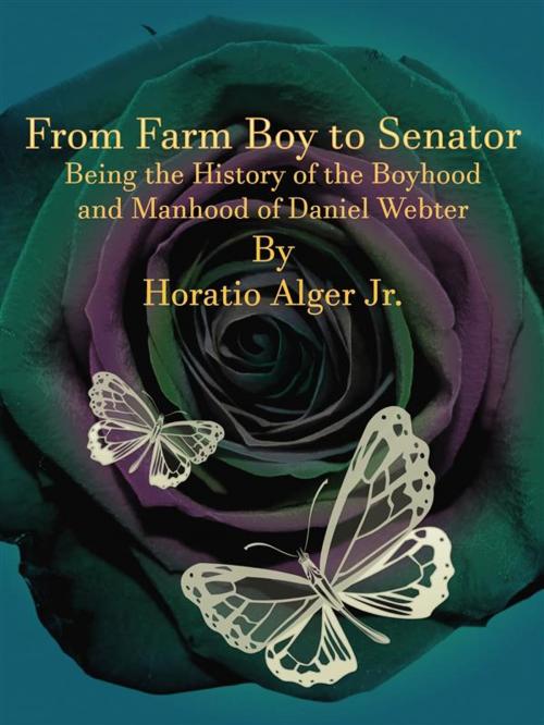 Cover of the book From Farm Boy to Senator by Horatio Alger Jr., Publisher s11838