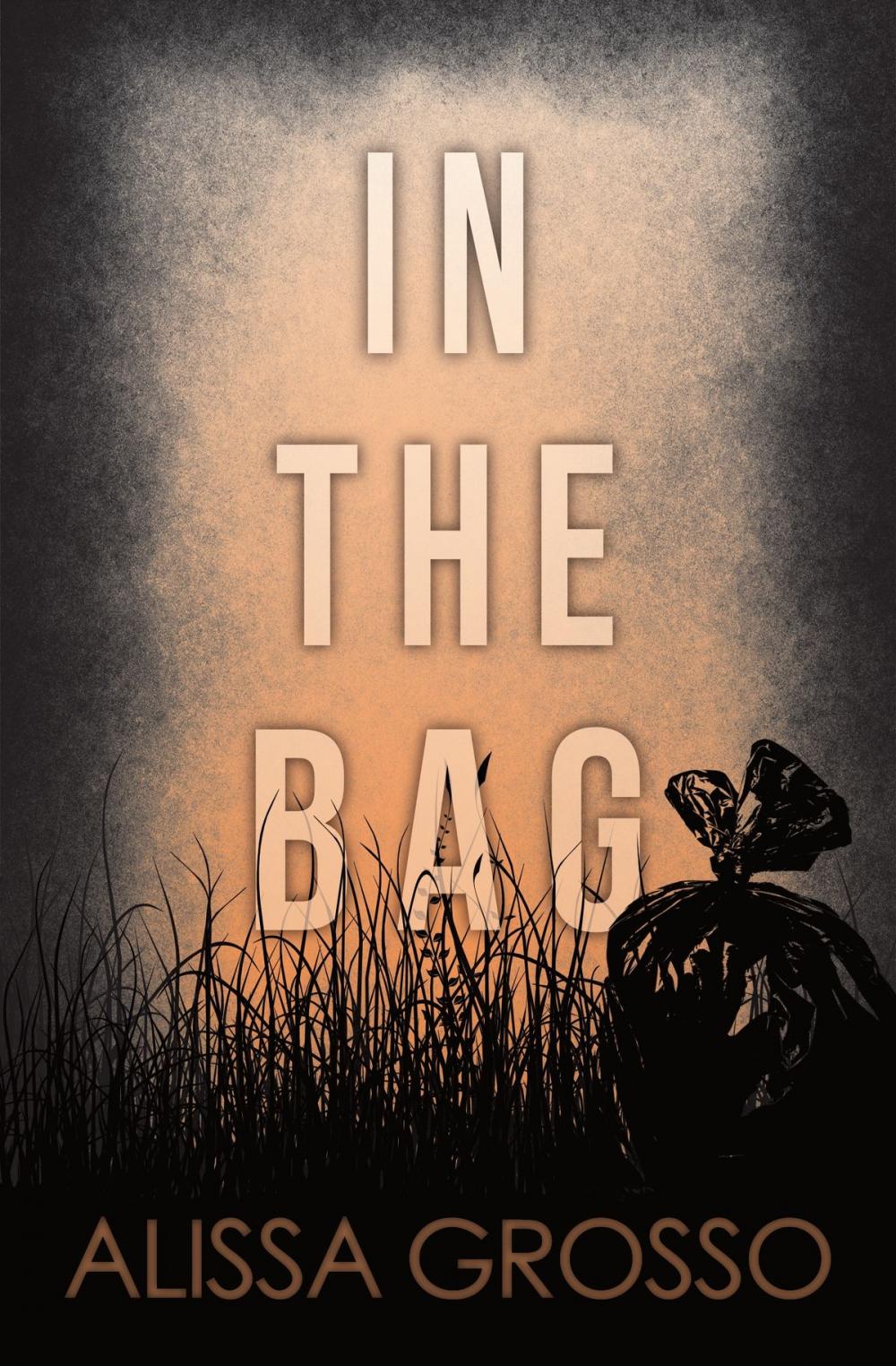 Big bigCover of In the Bag