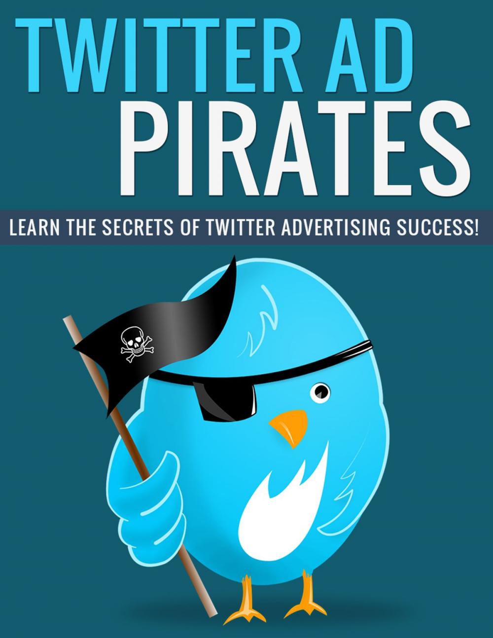 Big bigCover of Twitter Ad Pirates