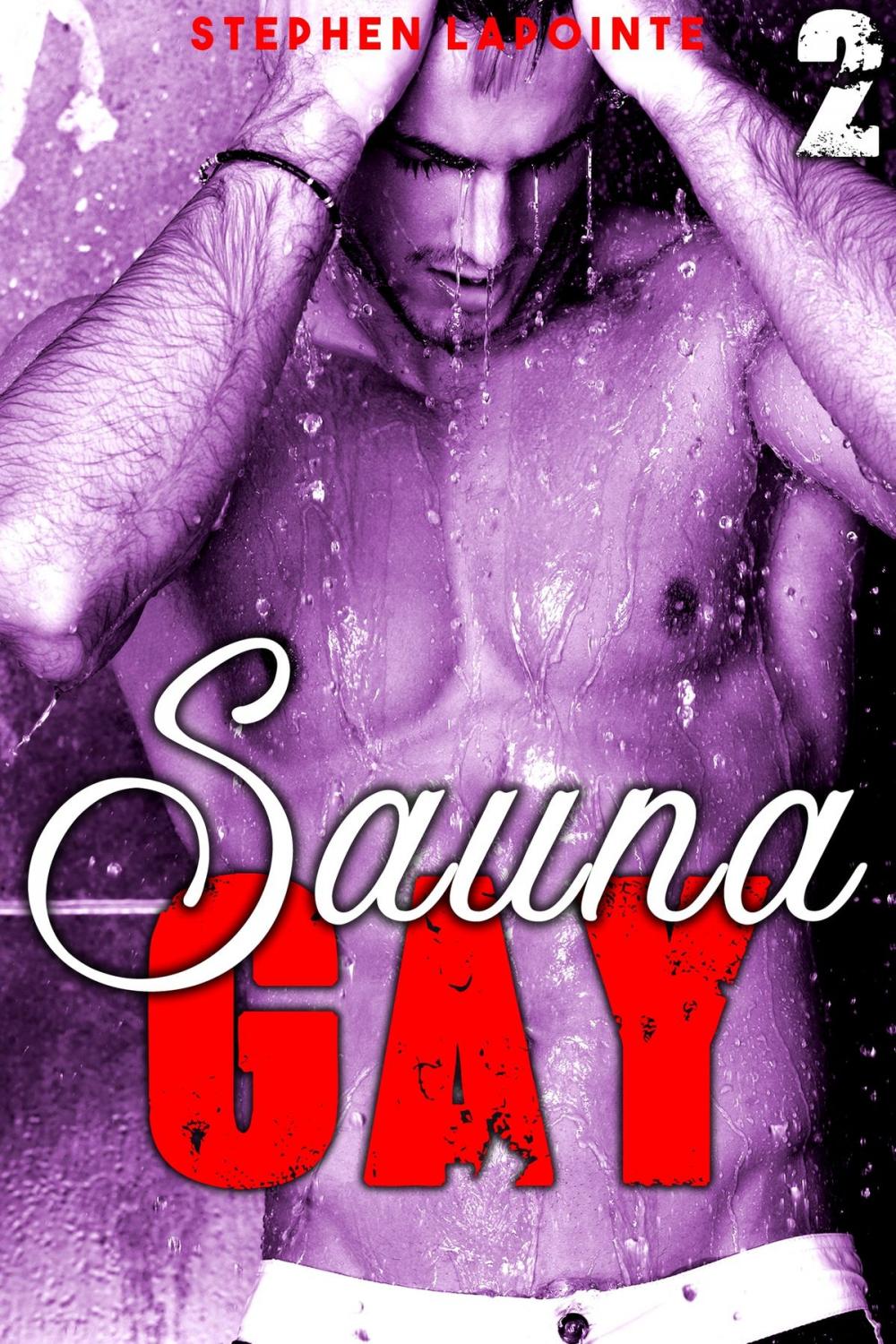 Big bigCover of SAUNA GAY - Tome 2