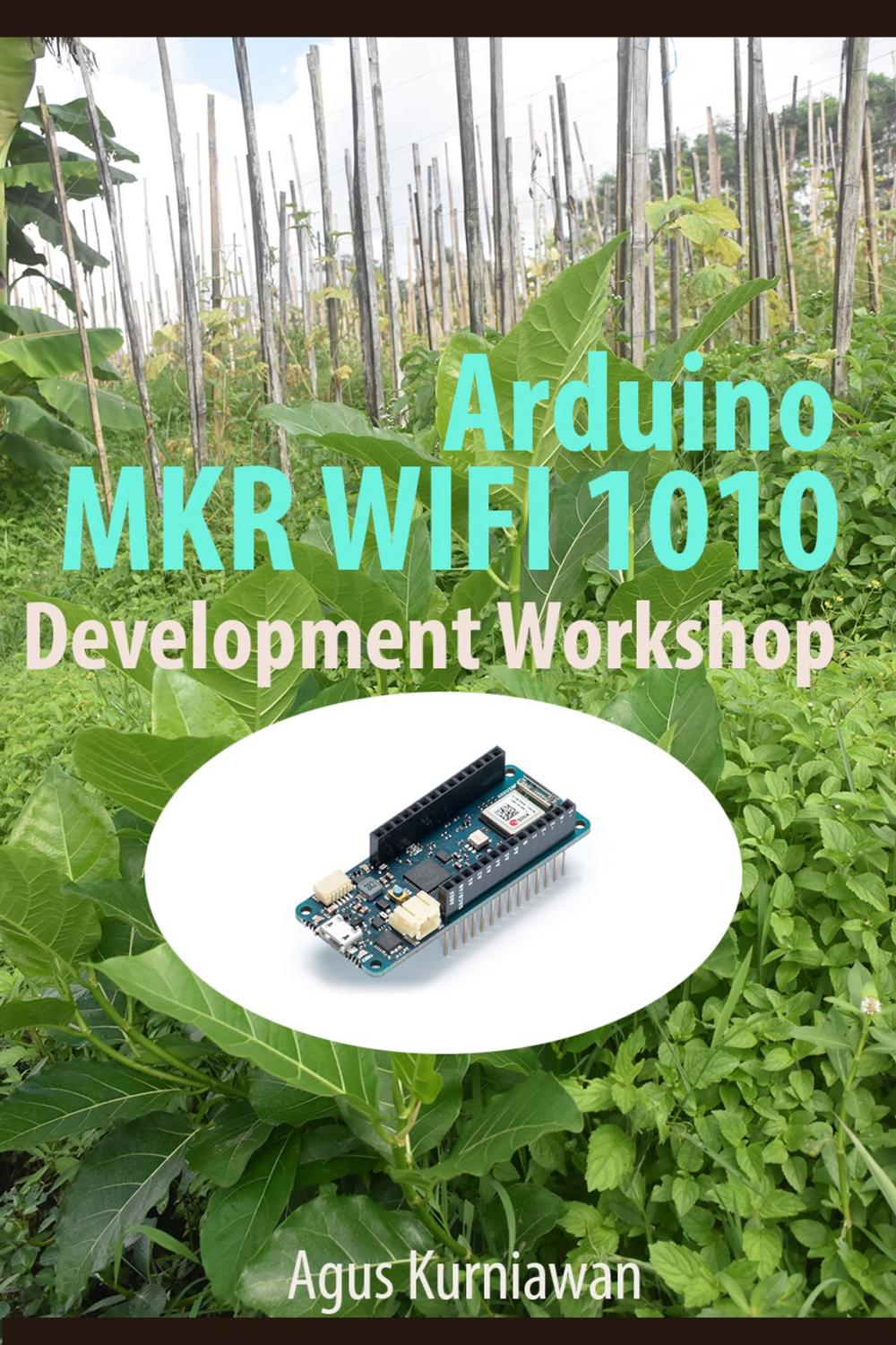 Big bigCover of Arduino MKR WIFI 1010 Development Workshop