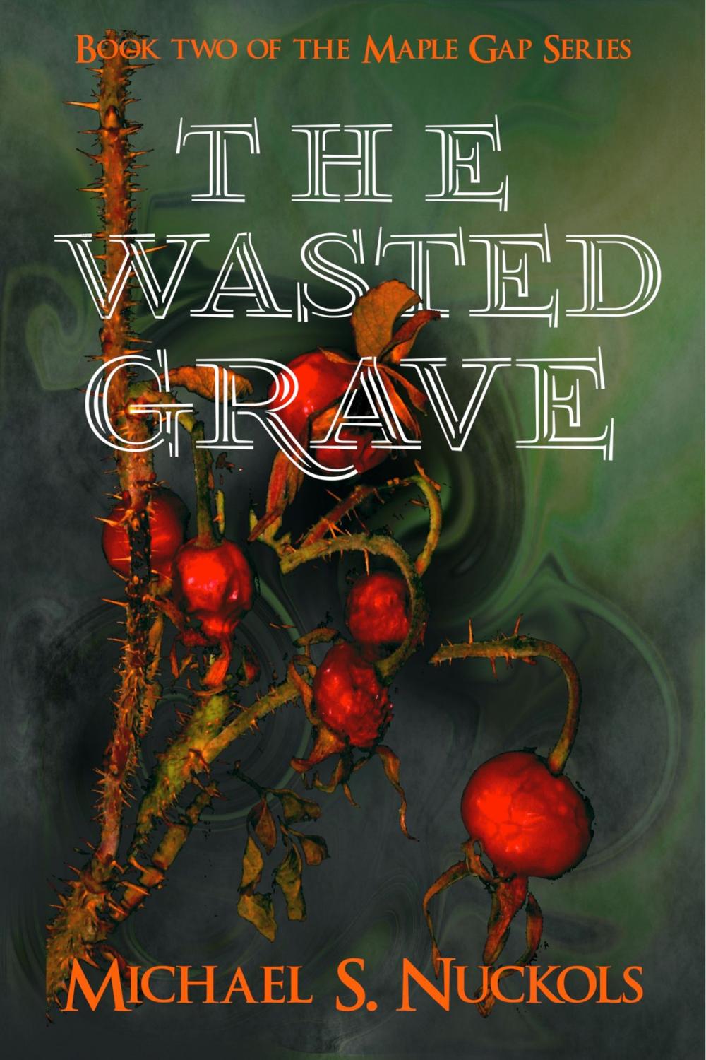 Big bigCover of The Wasted Grave