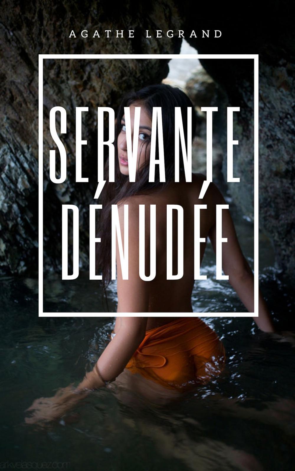 Big bigCover of Servante dénudée