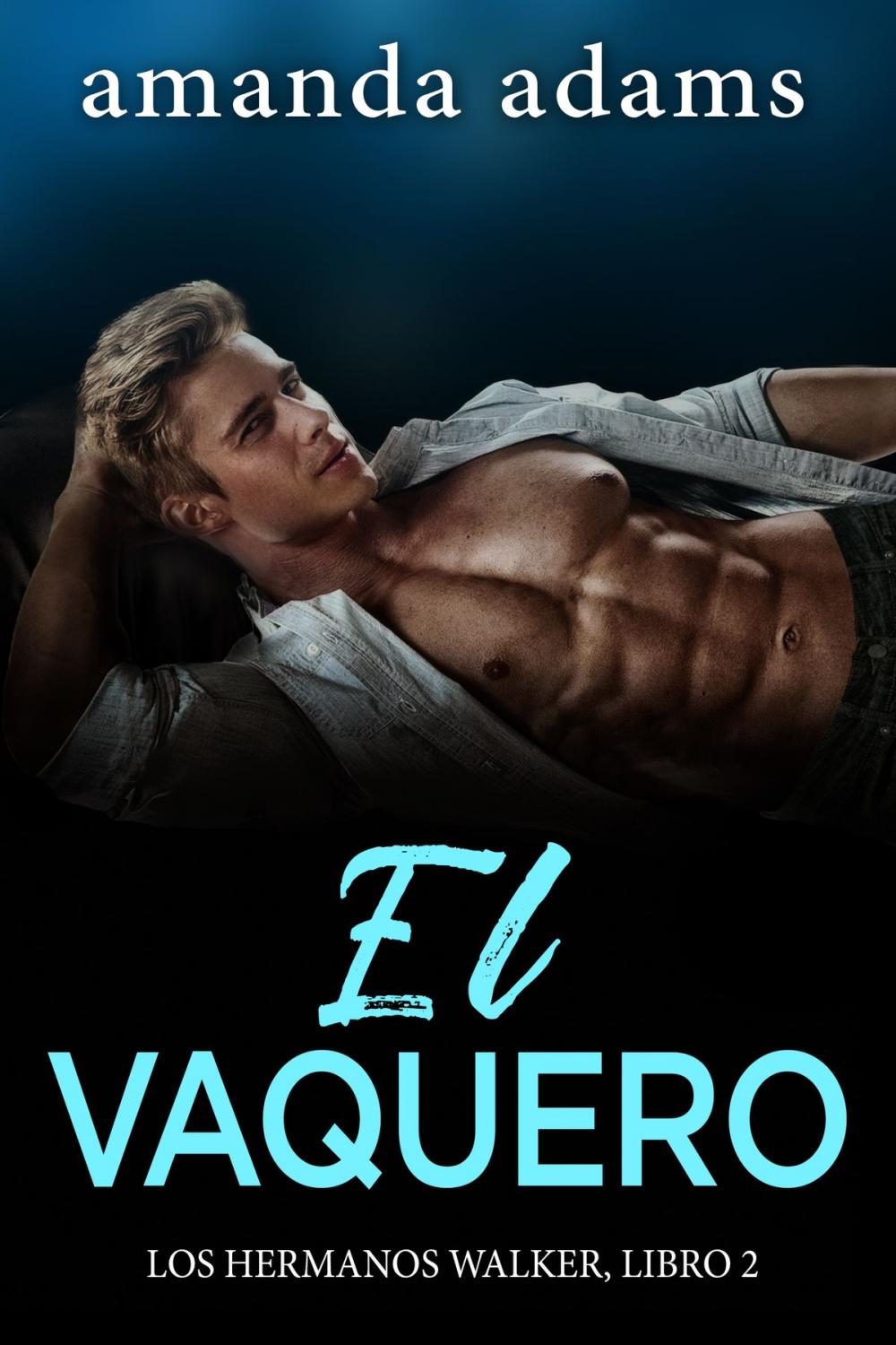 Big bigCover of El Vaquero