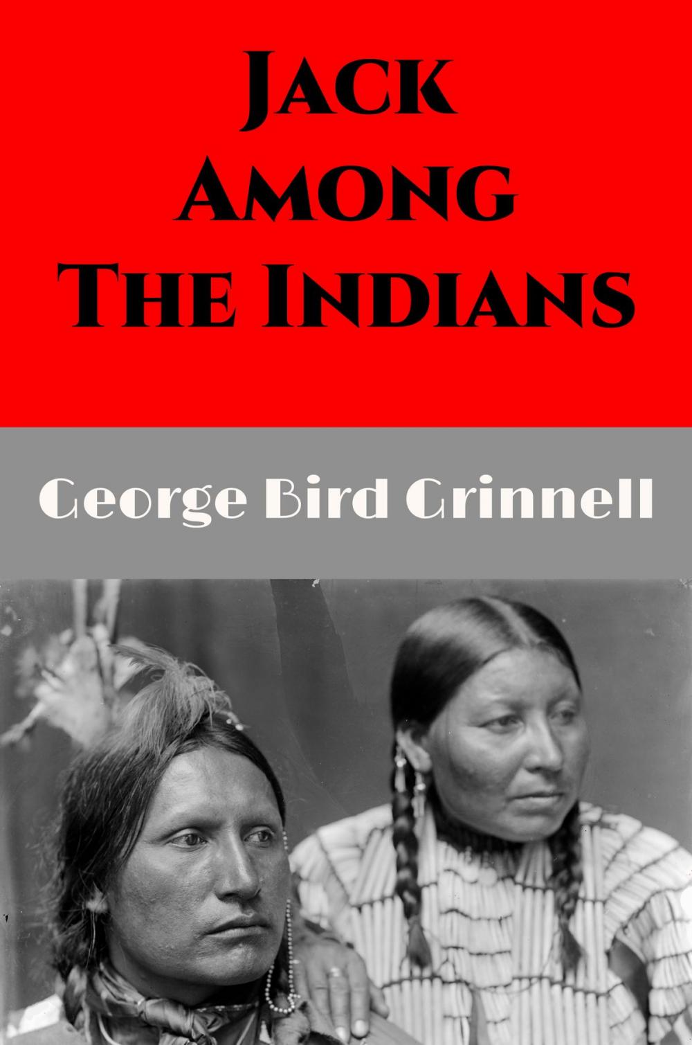 Big bigCover of Jack Among the Indians (Illustrated)