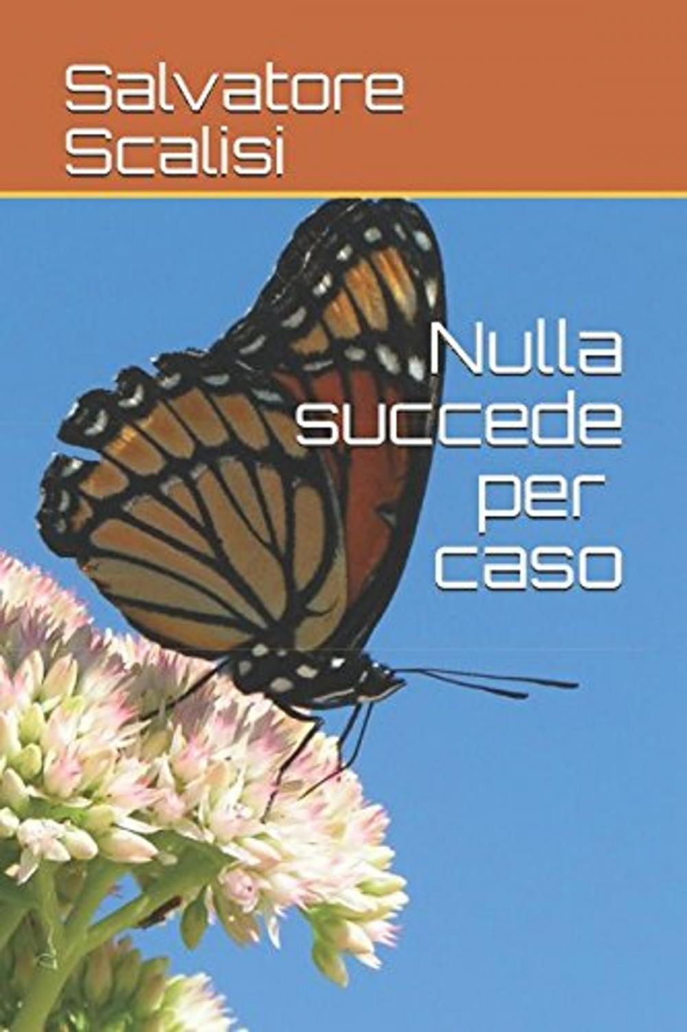 Big bigCover of Nulla succede per caso